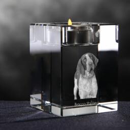 Bracco Italiano - Crystal Candlestick With Dog, Souvenir, Decoration, Limited Edition, Collection - thumbnail 2