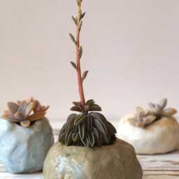 Ceramic Stone-Shaped Planter For Succulents & Cacti. Green Mini Handmade Planter - thumbnail 3
