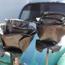 steel Roses - thumbnail 3