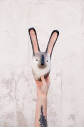 Paper Mache Rabbit Head Wall Decor, Nursery Faux Taxidermy - thumbnail 1