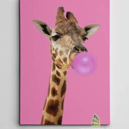 Giraffe Blowing Pink Bubble Gum Canvas Art Wall Print Picture Fashion Framed Home Decor -D153 - thumbnail 2