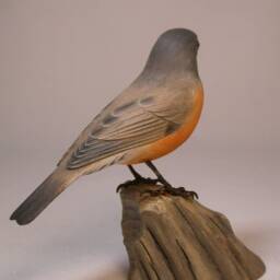 5-5/8 Inch American Robin #2 Hand Carved Wooden Bird - thumbnail 3