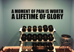 Gym Design, Ideas, Studio Wall Decal. A Moment Of Pain Is Worth Lifetime Glory - thumbnail 1