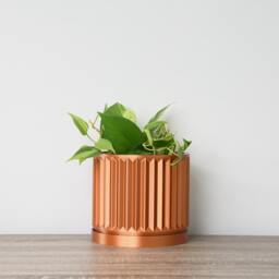 "Classical Planter With Drainage & Saucer in Copper, Unique 3D-Printed Plant Pot, Small To Large Sizes 4"" 5"" 6"" 7"" 8" - thumbnail 2