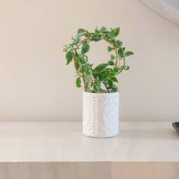 Plant Trellis, Houseplant Wire Stake, Hammered Copper Support - thumbnail 2