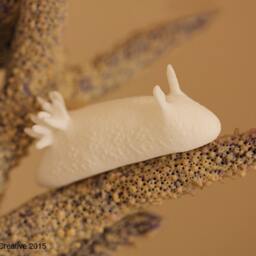 Nudibranch - Unpainted in White - Select Design Style & Quantity Below - thumbnail 3