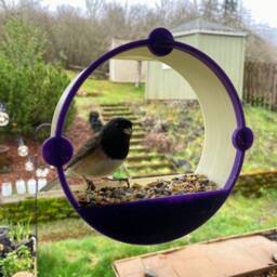 3D Printed Window Bird Feeder - The Portal, Portland Made
