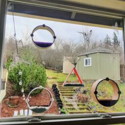 3D Printed Window Bird Feeder - The Portal, Portland Made - thumbnail 3