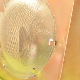 Original Fish Glass Recylced Lamp Artisanle Interior - thumbnail 3