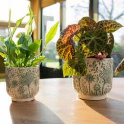 Handmade Green Ceramic Plant Pot Retro Indoor Planter, D8cm-D19cm - thumbnail 2