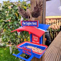 Crystal Palace Bird Feeder, The Eagles Nest, Selhurst Feeding Station . Garden Seed Table, Gift For Football Club Fans - thumbnail 2