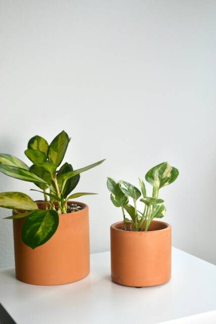 Minimal Modern Terracotta Concrete Planter - Multiple Sizes - image 1