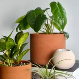Minimal Modern Terracotta Concrete Planter - Multiple Sizes - thumbnail 3