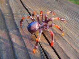 Spider Animals Glass, Art Blown Sculpture Made Of Blown Glass Figurine