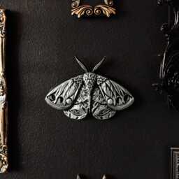 Ornate Moth Wall Hanging/Gothic Entomology Decor Handmade Plaque Alternative & Goth By House Of Persephone - thumbnail 2