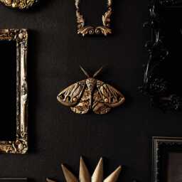 Ornate Moth Wall Hanging/Gothic Entomology Decor Handmade Plaque Alternative & Goth By House Of Persephone - thumbnail 3