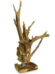 Small Teak Root Forest Sculpture 100120cm