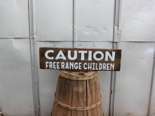 Free Range Children Wood Sign - Rustic Farmhouse Decor - image 1