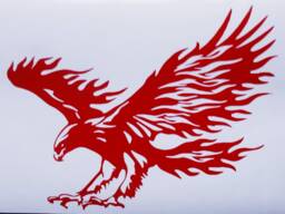 Hawk Decal Eagle Flames Attack Wall Art Car Van Bonnet Vinyl Side Sticker Hood Graphic Window Door Sign Motorhome Campervan