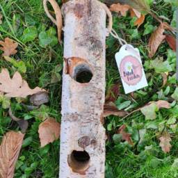 Garden Bird Feeder - Natural Bird Food Environment Birds Gardener Dad Eco Friendly Gift Set Wild Father Grandad - thumbnail 2