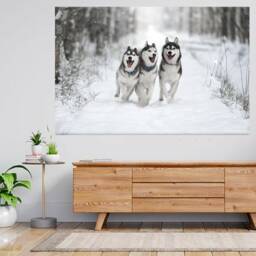 Siberian Husky Dog Running in Snow 3D View Wall Sticker Poster Decal A94 - thumbnail 1