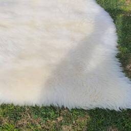 Original Sheep Skin Rug , White Sheep Fur For Your Room/ Floor/ Pets 3 X 2 Ft Natural Rugs-Handmade Rugs-Living Room Rugs - thumbnail 4