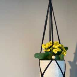 Black Adjustable Macrame Plant Hanger No Tassel Indoor, Hanging Planter, Indoor Wall - thumbnail 3