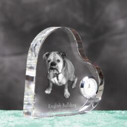Bulldog, English Bulldog - Crystal Clock in The Shape Of A Heart With Image Pure-Bred Dog - thumbnail 3