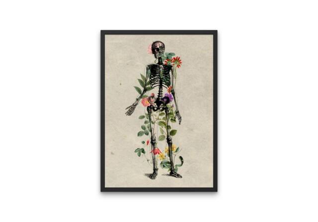 Antique Floral Human Anatomy Print - Flowers Through Skeleton, Medical Art, Botanical Anatomy, Body, Alternative Art - image 1