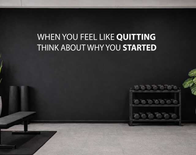 Fitness Decal Vinyl Sticker, Classroom Wall Decor, When You Feel Like Quitting Think About Why Started, Office, Physical Therapy 265 - image 1