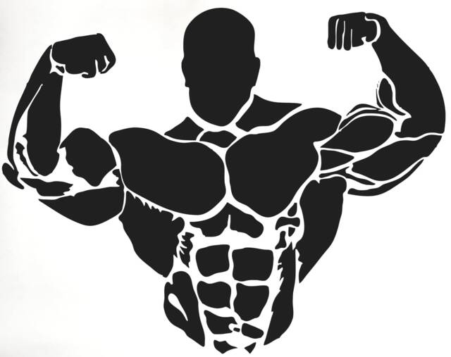 Gym Vinyl Sticker Decal Sign Wall Art Graphic Shop Window Fitness Training Bodybuilding Weights Quote Motivational Home Decor
