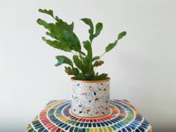 Plant Pot, Planter, Small Plant Metal Multicolour Paint Splattered, White Pot
