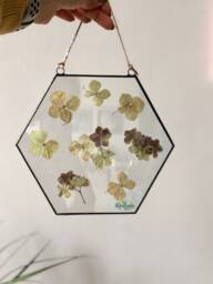Pressed Flowers Wall Hanging, Botanical Stained Glass Floating Frame, Dried Floral Leaves Panel, Hexagon Herbarium Art