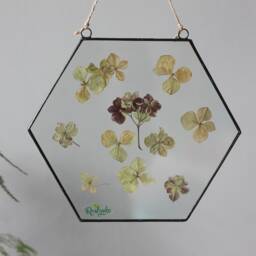 Pressed Flowers Wall Hanging, Botanical Stained Glass Floating Frame, Dried Floral Leaves Panel, Hexagon Herbarium Art - thumbnail 3