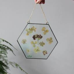 Pressed Flowers Wall Hanging, Botanical Stained Glass Floating Frame, Dried Floral Leaves Panel, Hexagon Herbarium Art - thumbnail 2