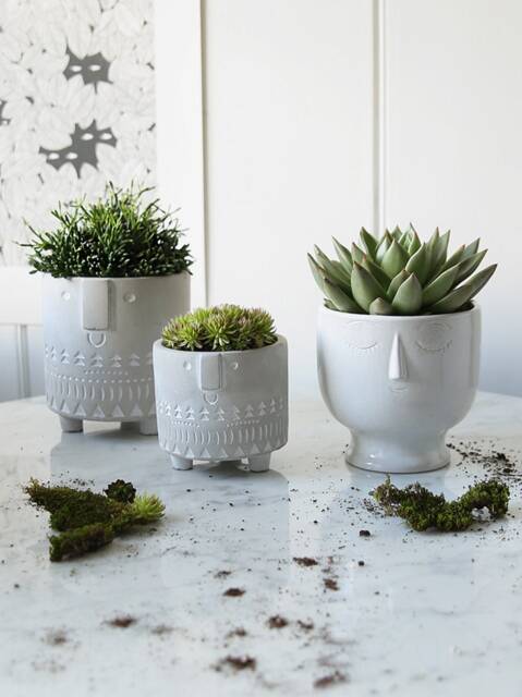 Face Pot Collection - image 1