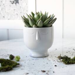 Face Pot Collection - thumbnail 3
