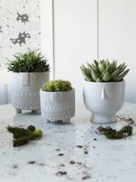 Face Pot Collection - thumbnail 1