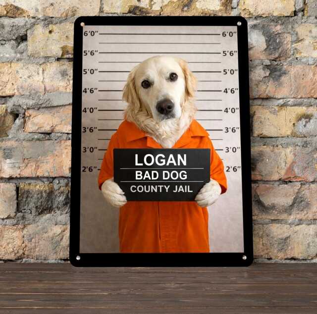 Personalised Pet Mugshot Metal Sign - Custom Dog Prison Portrait Funny Wall Art Gift For Lovers - image 1