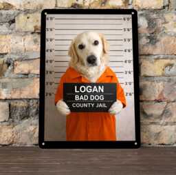 Personalised Pet Mugshot Metal Sign - Custom Dog Prison Portrait Funny Wall Art Gift For Lovers - thumbnail 1
