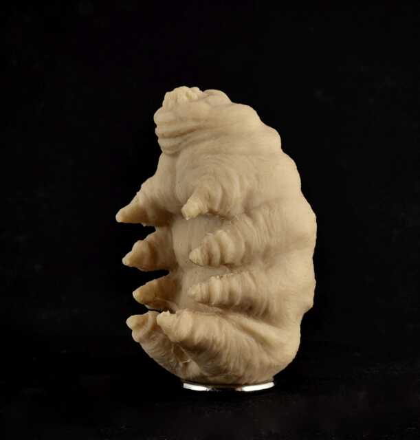 Rubbery Tardigrade - image 1