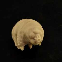 Rubbery Tardigrade - thumbnail 2