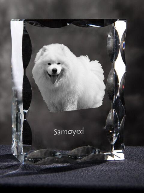 Samoyed, Cubic Crystal With Dog, Souvenir, Decoration, Limited Edition, Collection - image 1
