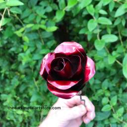 Red Eternity Rose - Single - thumbnail 3