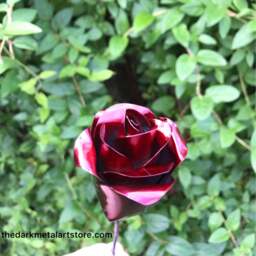 Red Eternity Rose - Single - thumbnail 2