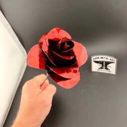 Red Eternity Rose - Single - thumbnail 4