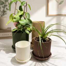 Ribbed Plant Pot With Legs Japandi Planter Indoor Flower Minimalist Modern Home Decor - thumbnail 3