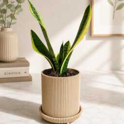 Ribbed Plant Pot With Legs Japandi Planter Indoor Flower Minimalist Modern Home Decor - thumbnail 4