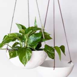 Large Ceramic Plant Pot - Handmade Hanging Porcelain Basket Minimalist Modern Scandinavian Design - thumbnail 3