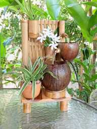 Handmade Coconut Shell Tabletop Fountain With Bamboo Wall - thumbnail 1